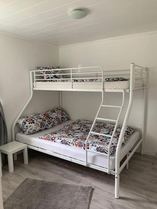 Ferienwohnung Bergblick Winterberg Ngoại thất bức ảnh